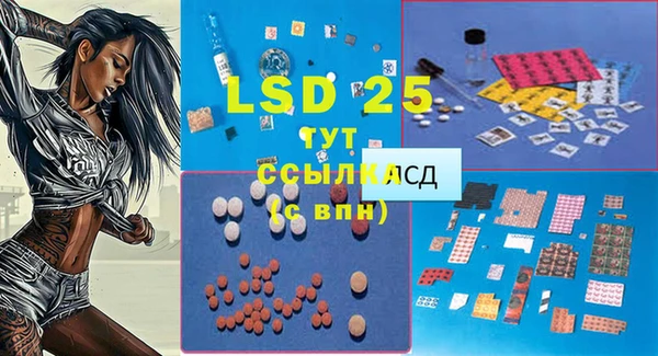 гидропоника Сураж