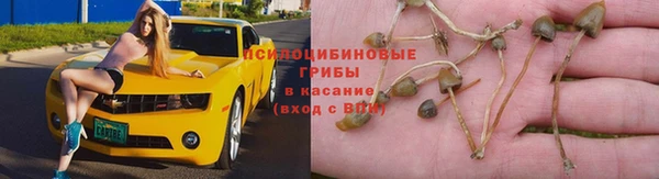MESCALINE Каменногорск
