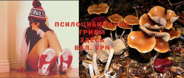 MESCALINE Каменногорск