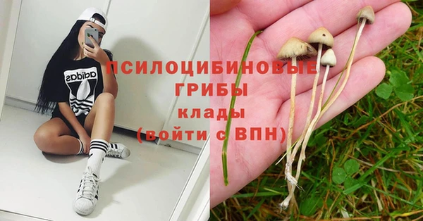 соль курить ск Карпинск