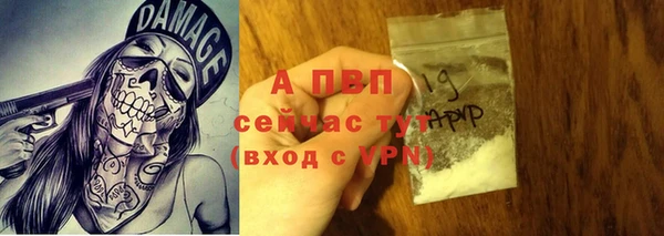 СК Касимов